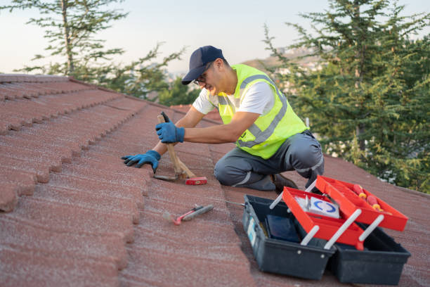 Quick and Trustworthy Emergency Roof Repair Services in Gold Canyon, AZ